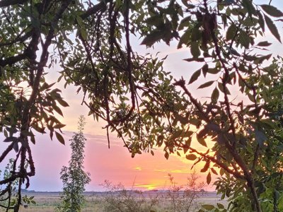 camping Le Merval photo 24