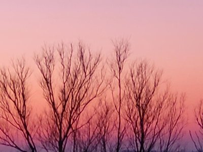 camping Le Merval photo 25