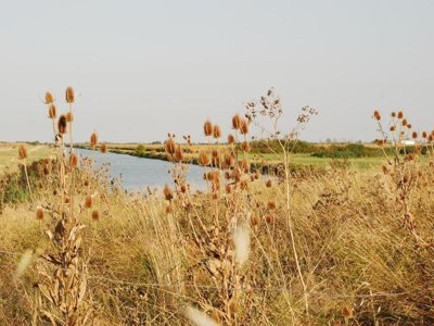 camping Le Merval photo 6