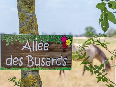 camping Le Merval photo 7