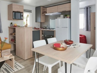 Cliquez pour découvrir toutes les photos de l'HÉBERGEMENT ! mobil-home - Le Rivage photo 2