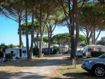 Cliquez pour découvrir toutes les photos de l'ÉTABLISSEMENT ! camping De Vaudois photo 14