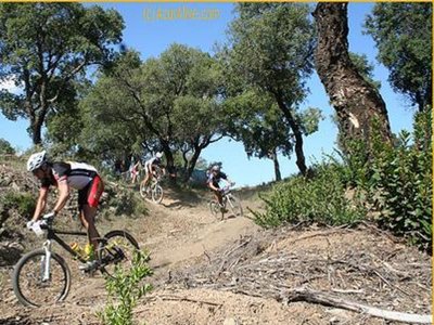 Cliquez pour découvrir toutes les photos de l'ÉTABLISSEMENT ! camping De Vaudois photo 20
