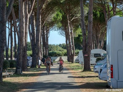 Cliquez pour découvrir toutes les photos de l'ÉTABLISSEMENT ! camping De Vaudois photo 6