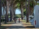 Cliquez pour découvrir toutes les photos de l'ÉTABLISSEMENT ! camping De Vaudois photo 6