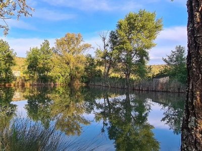 camping La Plaine photo 12