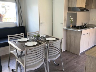 mobil-home - La Plaine photo 2