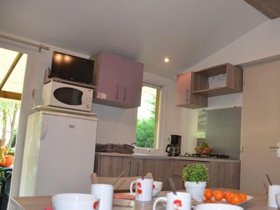 Cliquez pour découvrir toutes les photos de l'HÉBERGEMENT ! mobil-home - Flower Les Mijeannes photo 3