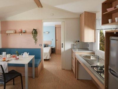 Cliquez pour découvrir toutes les photos de l'HÉBERGEMENT ! mobil-home - Flower Les Mijeannes photo 3