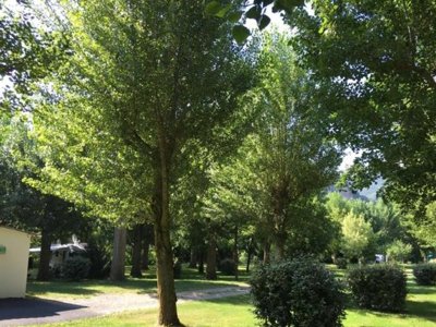 Cliquez pour découvrir toutes les photos de l'ÉTABLISSEMENT ! camping Le Pont photo 20