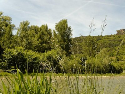 Cliquez pour découvrir toutes les photos de l'ÉTABLISSEMENT ! camping Le Pont photo 22