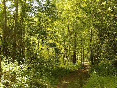 Cliquez pour découvrir toutes les photos de l'ÉTABLISSEMENT ! camping Le Pont photo 27