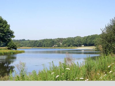 Cliquez pour découvrir toutes les photos de l'ÉTABLISSEMENT ! camping Domaine Du Moulin Neuf photo 13