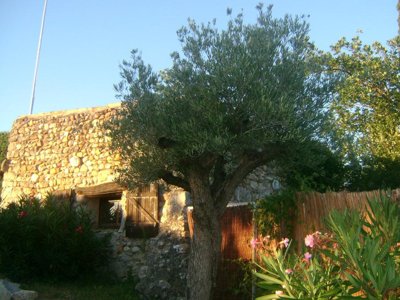 camping Universal photo 29