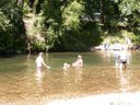 Cliquez pour découvrir toutes les photos de l'HÉBERGEMENT ! hébergement insolite - camping Universal photo 3