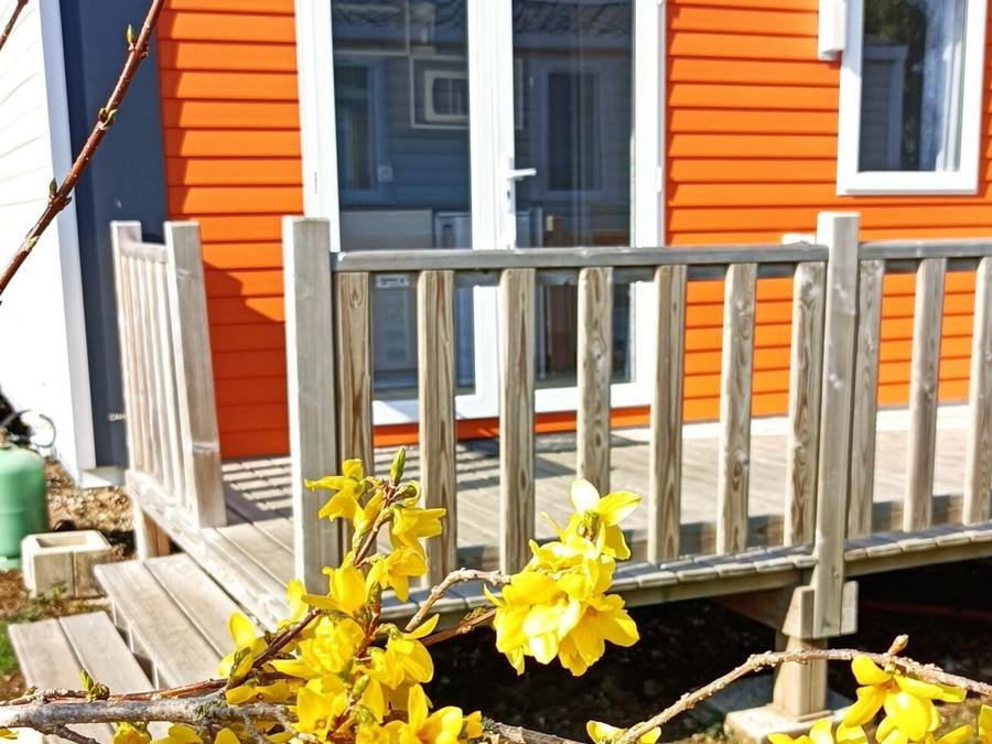 Camping Pas Cher vous présente avec son site Officiel campingpascher.fr, le Camping Flower Vitamin classé 4 étoiles, situé sur la commune de Saint Aubin Sur Scie dans le département Seine-maritime (Haute Normandie) en France. Le camping Flower Vitamin, vous présente un hébergement de type mobil-home de 17 m² et télévision. Le camping Flower Vitamin vous propose du lundi 08 juin au lundi 15 juin 2026, en promotion à -10% pour 7 nuits à 410,40 € au lieu de 456,0 € soit une Économie de 45,60 €. Cette location propose 37 dates différentes pour réserver votre séjour. Découvrez également les 11 autres gammes d'hébergements du camping. Les Avis clients pour le Camping Flower Vitamin sont excellents avec une note moyenne de 8 sur 10. Parc aquatique, Piscine couverte, Piscine extérieure, Animations familiales, Aire de jeux enfants, Baby-foot, Canoë-kayak, Flipper, Golf, Ping-pong, Planche à voile, Plongée, Pétanque, Salle de fitness, Terrain multisports, Bar, Boulangerie, Brasserie, Snack/Bar, Supermarché, Épicerie,... En savoir plus : cliquez-ICI.