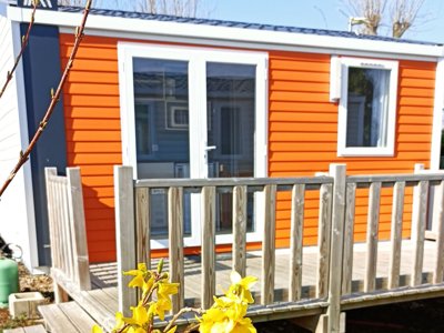 mobil-home - Flower Vitamin photo 2