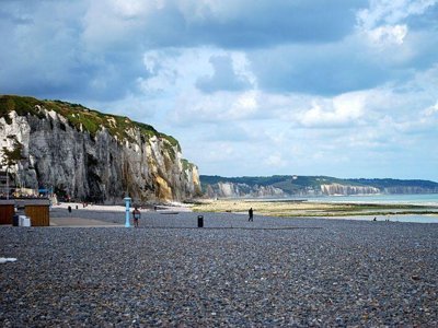 camping Flower Vitamin photo 28