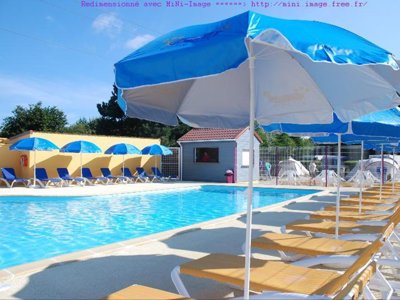 camping Flower Vitamin photo 7