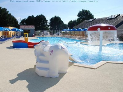 camping Flower Vitamin photo 8