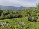 Cliquez pour découvrir toutes les photos de l'HÉBERGEMENT ! mobil-home - camping Flower Les Hauts De Rosans photo 6
