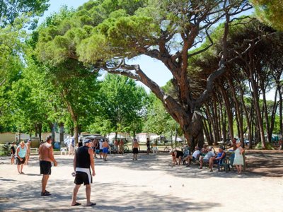 Cliquez pour découvrir toutes les photos de l'ÉTABLISSEMENT ! établissement De Saint Aygulf Plage photo 17