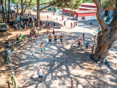 Cliquez pour découvrir toutes les photos de l'ÉTABLISSEMENT ! établissement De Saint Aygulf Plage photo 18