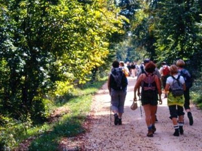 camping De La Belle Etoile photo 23