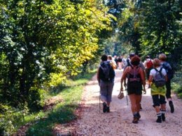 Camping Pas Cher vous présente avec son site Officiel campingpascher.fr, le Camping De La Belle Etoile classé 3 étoiles, situé sur la commune de Saint Bonnet Le Chateau dans le département Loire (Rhône Alpes) en France. Le camping De La Belle Etoile vous propose un hébergement de type mobil-home de 26 m² (télévision). L'établissement vous propose 10 autres types d'hébergements. Découvrez tous nos séjours à petits prix dans la commune et aux alentours de Saint Bonnet Le Chateau du département : Loire (Rhône Alpes). Les Avis clients pour le Camping De La Belle Etoile sont excellents avec une note moyenne de 8 sur 10. Lac, Piscine chauffée, Piscine extérieure, Animations familiales, Aire de jeux enfants, Baby-foot, Court de tennis, Cyclisme, Ping-pong, Pétanque, Randonnée, Bar, Snack/Bar, Supermarché, Épicerie,... En savoir plus : cliquez-ICI.