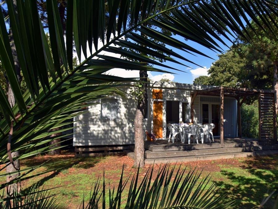 Camping Pas Cher vous présente avec son site Officiel campingpascher.fr, le Camping Le Sagone classé 4 étoiles, situé sur la commune de Sagone dans le département Corse Du Sud (Corse) en France. Le camping Le Sagone, vous présente un hébergement de type bungalow de 28 m² pour 6 personnes avec climatisation et télévision. Le camping Le Sagone vous propose du sam. 03 octobre au sam. 10 octobre 2026 pour 7 nuits à 284€. Cette location propose 85 dates différentes pour réserver votre séjour. Découvrez également les 8 autres gammes d'hébergements du camping. Les Avis clients pour le Camping Le Sagone sont excellents avec une note moyenne de 8 sur 10. Piscine couverte, Piscine extérieure, Animations familiales, Club ados, Club enfants, Aire de jeux enfants, Canoë-kayak, Centre équestre, Court de tennis, Parcours sportif, Plongée, Pétanque, Terrain de basketball, Terrain de beach-volley, Terrain de football, Trampoline, Bar, Snack/Bar, Supermarché,... En savoir plus : cliquez-ICI.