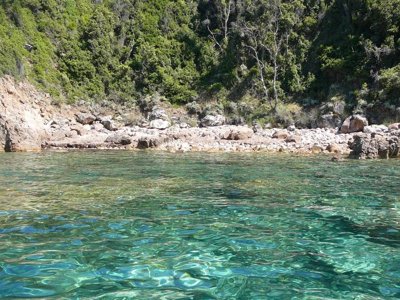 Cliquez pour découvrir toutes les photos de l'ÉTABLISSEMENT ! camping Le Sagone photo 30