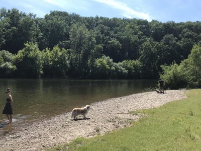Cliquez pour découvrir toutes les photos de l'ÉTABLISSEMENT ! camping Village La Rivière Fleurie photo 20