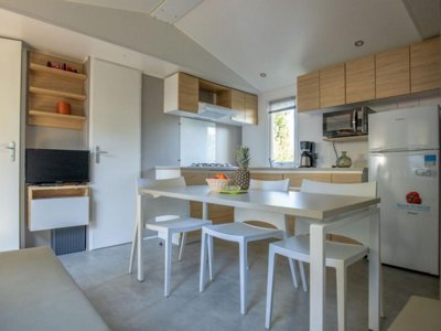 Cliquez pour découvrir toutes les photos de l'HÉBERGEMENT ! mobil-home - Le Bosc photo 2