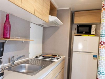Cliquez pour découvrir toutes les photos de l'HÉBERGEMENT ! mobil-home - Le Bosc photo 2