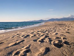 Camping Pas Cher vous présente avec son site Officiel campingpascher.fr, le Camping Le Roussillon classé 4 étoiles, situé sur la commune de Saint Cyprien dans le département Pyrénées-orientales (Languedoc Roussillon) en France. Le camping Le Roussillon, vous présente un hébergement de type mobil-home de 24 m² avec climatisation. Le camping Le Roussillon vous proposeun séjour PAS CHER avec une REMISEdu sam. 02 mai au sam. 09 mai 2026, en promotion à -30% pour 7 nuits à 245 € au lieu de 350,0 € soit une Économie de 105 €. Cette location propose 120 dates différentes pour réserver votre séjour. Découvrez également les 3 autres gammes d'hébergements du camping. Les Avis clients pour le Camping Le Roussillon sont excellents avec une note moyenne de 8 sur 10. Piscine chauffée, Piscine extérieure, Animations familiales, Club enfants, Aire de jeux enfants, Baby-foot, Centre équestre, Court de tennis, Cyclisme, Golf, Ping-pong, Piscine, Pétanque, Salle de fitness, Terrain multisports, Bar, Dépôt de pain, Restaurant, Snack/Bar, Épicerie,... En savoir plus : cliquez-ICI.