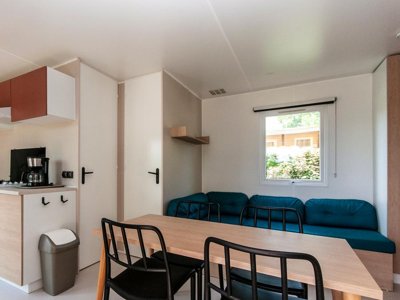 mobil-home - Les Etangs De Plessac photo 10