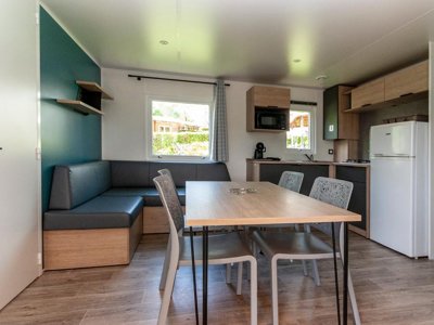 mobil-home - Les Etangs De Plessac photo 3