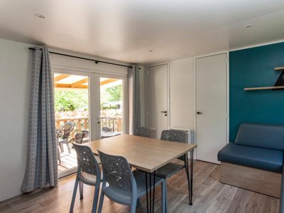 mobil-home - Les Etangs De Plessac photo 7