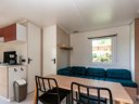 mobil-home - camping Les Etangs De Plessac photo 10