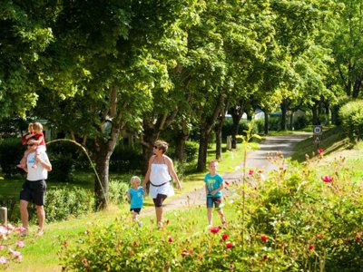 camping  Villages Rives D'Olt Et Aubrac photo 27