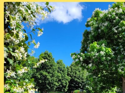 Cliquez pour découvrir toutes les photos de l'ÉTABLISSEMENT ! camping Le Soulhol photo 21