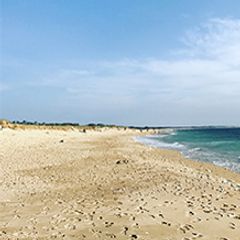 Camping Pas Cher vous présente avec son site Officiel campingpascher.fr, le Établissement Les Payolles, situé sur la commune de Saint Georges D'oléron dans le département Charente-maritime (Poitou-charentes) en France. L'établissement Les Payolles vous propose un hébergement de type mobilhome. L'établissement vous propose 5 autres types d'hébergements. Découvrez tous nos séjours à petits prix dans la commune et aux alentours de Saint Georges D'oléron du département : Charente-maritime (Poitou-charentes).... En savoir plus : cliquez-ICI.