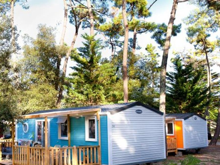 Camping Pas Cher vous présente avec son site Officiel campingpascher.fr, le Camping Signol classé 5 étoiles, situé sur la commune de Saint Georges D'oléron dans le département Charente-maritime (Poitou Charentes) en France. Le camping Signol, vous présente un hébergement de type mobil-home de 34 m² pour 6 personnes avec climatisation et télévision. Le camping Signol vous propose du dimanche 13 septembre au dimanche 20 septembre 2026 pour 7 nuits à 426€. Cette location propose 16 dates différentes pour réserver votre séjour. Découvrez également les 12 autres gammes d'hébergements du camping. Les Avis clients pour le Camping Signol sont excellents avec une note moyenne de 8 sur 10. Mer, Parc aquatique, Piscine couverte, Piscine extérieure, Animations familiales, Club ados, Club enfants, Aire de jeux enfants, Ping-pong, Pétanque, Salle de fitness, Structure gonflable enfants, Surf, Terrain de beach-volley, Terrain multisports, kiteSurf, Bar, Dépôt de pain, Plats à emporter, Snack/Bar, Épicerie,... En savoir plus : cliquez-ICI.