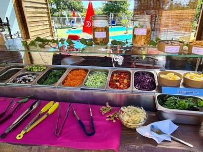 camping Domaine Vallée Du Tarn photo 11