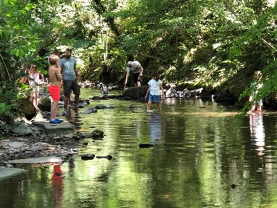 Cliquez pour découvrir toutes les photos de l'ÉTABLISSEMENT ! camping Moulin De Chaules photo 22