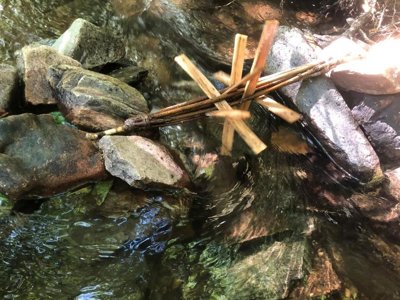 Cliquez pour découvrir toutes les photos de l'ÉTABLISSEMENT ! camping Moulin De Chaules photo 23