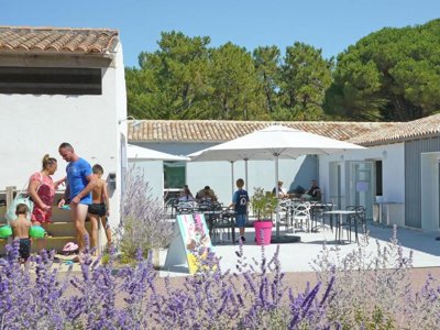 Cliquez pour découvrir toutes les photos de l'ÉTABLISSEMENT ! camping Le Suroit photo 17