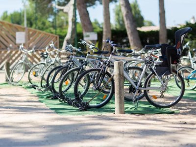 Cliquez pour découvrir toutes les photos de l'ÉTABLISSEMENT ! camping Le Suroit photo 18
