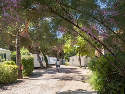 Cliquez pour découvrir toutes les photos de l'ÉTABLISSEMENT ! camping Le Suroit photo 19
