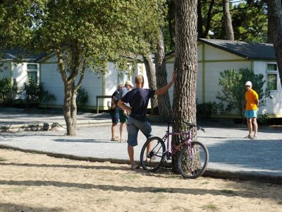 Cliquez pour découvrir toutes les photos de l'ÉTABLISSEMENT ! camping Le Suroit photo 8